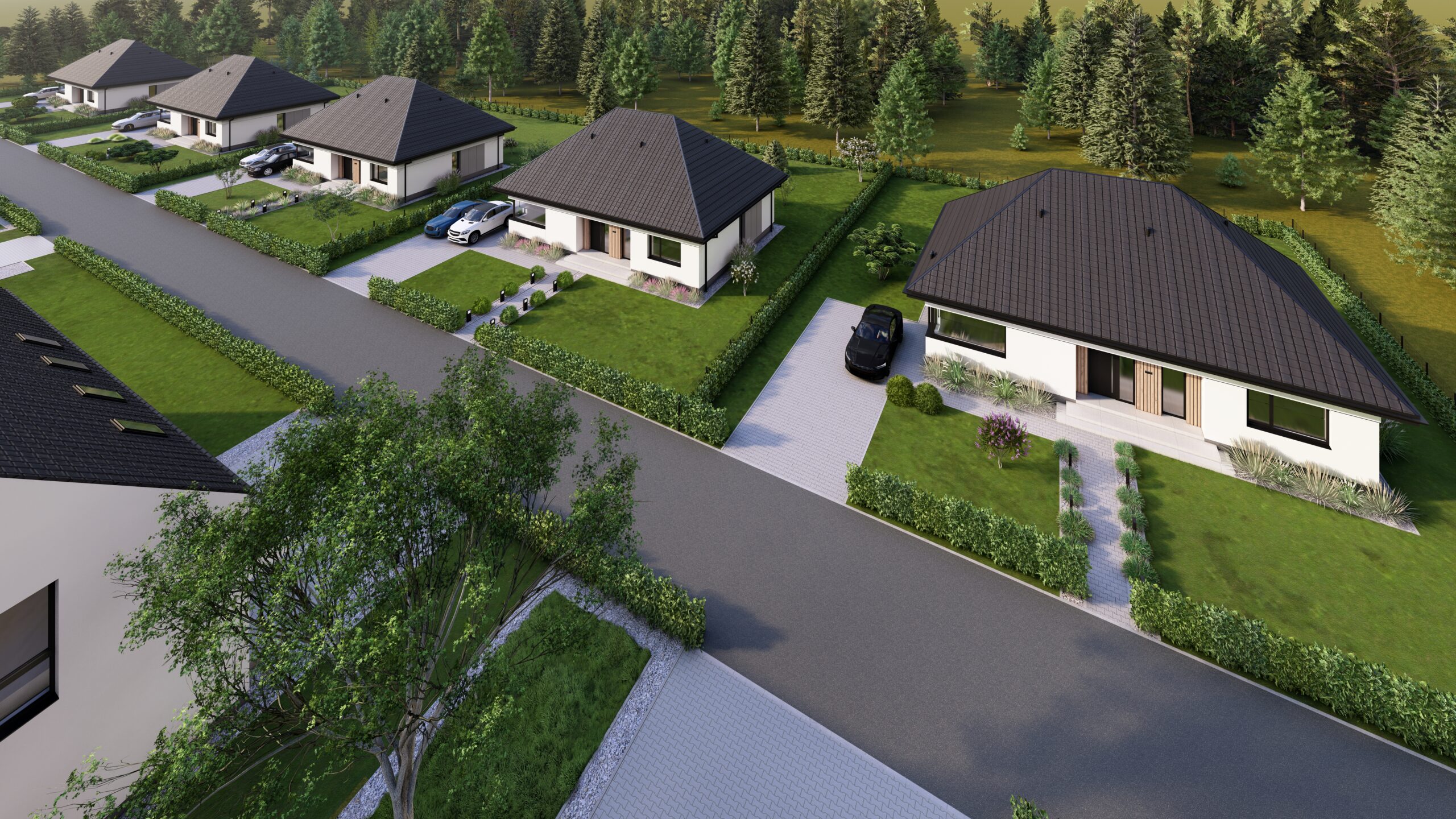 wiz 29.09 1 zdjęcie